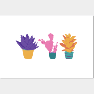 Cute colorful Succulents Print pattern Posters and Art